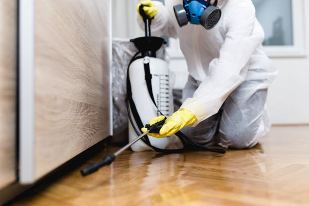 Best Best Pest Control Companies  in De Leon Springs, FL