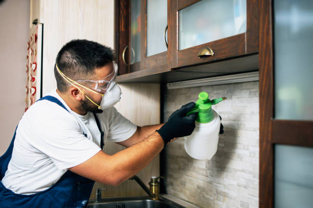 Best Mosquito Control Services  in De Leon Springs, FL