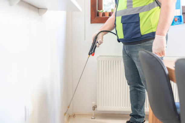 Reliable De Leon Springs, FL Pest Control Solutions
